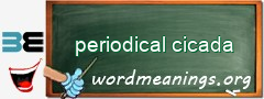 WordMeaning blackboard for periodical cicada